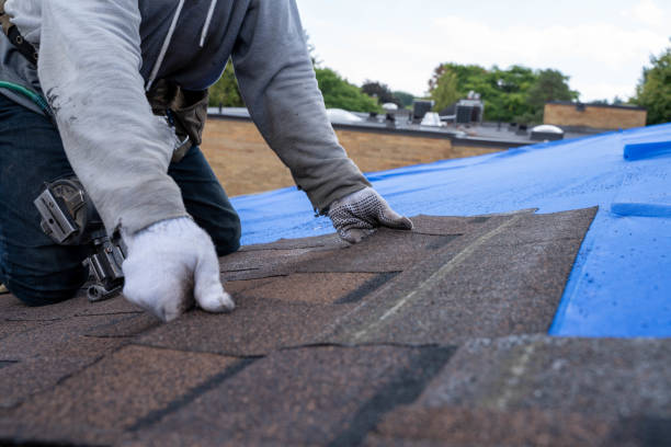 Best Roof Maintenance Services  in Norco, LA